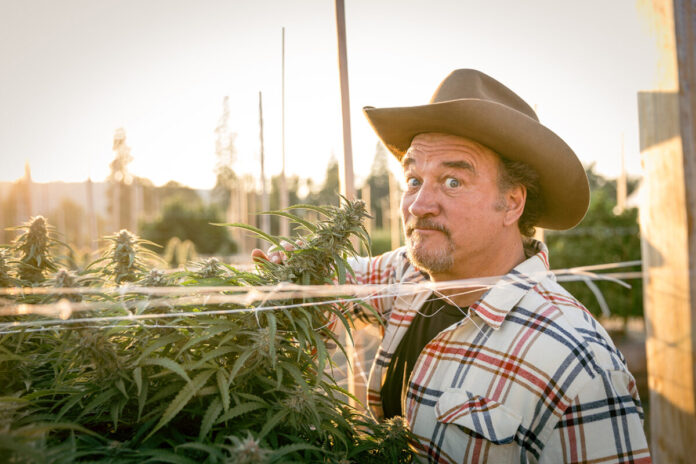 Jim Belushi-Growing Belushi-reality TV series-mg magazine-mgretailer-cannabis news