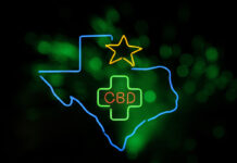 Texas Introduces New Hemp Product Licensing System, Rolls Out New Rules Texas-Consumable-Hemp-Program-mg-magazine-mgretailer-cannabis-news
