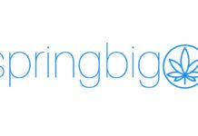 Shopify partners with springbig on new integration for CBD and Hemp retailers springbig-logo-mg-magazine-mgretailer