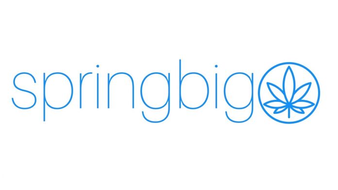 springbig-logo-mg-magazine-mgretailer