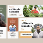CDFA Kicks off California Cannabis Promotional Campaign CalCannabis Webpage DigitalAds-mgretailer