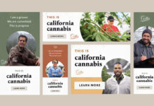 CDFA Kicks off California Cannabis Promotional Campaign CalCannabis Webpage DigitalAds-mgretailer