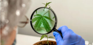 Congressional Committee Advances Legislation to Expand Cannabis Research Congressional-Committee-Advances-Legislation-to-Expand-Cannabis-Research-mg-magazine-mgretailer