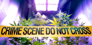 LAPD Officer Charged with Felony Burglary in Cannabis Grow Bust LAPD-Officer-Charged-with-Felony-Burglary-in-Cannabis-Grow-Bust-cannabis-news-mg-magazine-mgretailer