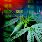 Per-milligram Pricing Disparity Fuels CBD Consumer Confusion Per-milligram-Pricing-Disparity-Report-CBD-Validator-mg-magazine-mgretailer