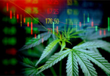 Per-milligram Pricing Disparity Fuels CBD Consumer Confusion Per-milligram-Pricing-Disparity-Report-CBD-Validator-mg-magazine-mgretailer