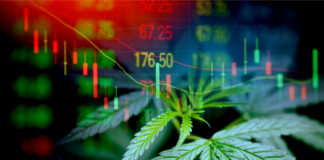 Per-milligram Pricing Disparity Fuels CBD Consumer Confusion Per-milligram-Pricing-Disparity-Report-CBD-Validator-mg-magazine-mgretailer