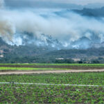 Wildfires, Ash, and Smoke Threaten 2020 Hemp and Cannabis Crops smoke over a hemp cannabis farm affecting cultivation costs