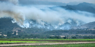 Wildfires, Ash, and Smoke Threaten 2020 Hemp and Cannabis Crops smoke over a hemp cannabis farm affecting cultivation costs