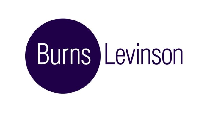 Burns Levinson logo Burns encircled by purple sphere and levinson written in purple letters