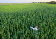 Congress Approves Funding to Extend Federal Hemp Pilot Program Congress-Approves-Funding-to-Extend-Federal-Hemp-Pilot-Program-cannabis-news-mg-magazine-mgretailer