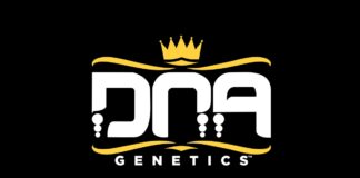DNA Genetics Launches Premium Cannabis Flower in Michigan with Skymint DNA-Genetics-logo-mg-magazine-mgretailer-