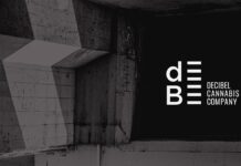 Decibel Appoints Manjit Minhas as Senior Advisor and Director Nominee Decibel-Cannabis-Company-logo-mg-magazine-mgretailer