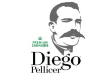 Diego Pellicer Awarded 2020 CBA Globes for ‘Best Dispensary/Center’ and MVP Diego-Pellicer-Worldwide-logo-mg-magazine-mgretailer