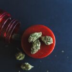 Forbidden Flowers Rosé Lemonade Flower Forbidden-Flowers-Rose-Lemonade-Flower-cannabis-products-mg-magazine-mgretailer