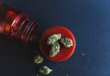 Forbidden Flowers Rosé Lemonade Flower Forbidden-Flowers-Rose-Lemonade-Flower-cannabis-products-mg-magazine-mgretailer