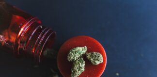 Forbidden Flowers Rosé Lemonade Flower Forbidden-Flowers-Rose-Lemonade-Flower-cannabis-products-mg-magazine-mgretailer