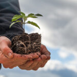 Hemp Industry Members File Suit Over DEA Regulatory Overreach Hemp-Industry-Members-File-Suit-Over-DEA-Regulatory-Overreach-cannabis-news-mg-magazine-mgretailer