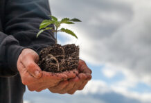 Hemp Industry Members File Suit Over DEA Regulatory Overreach Hemp-Industry-Members-File-Suit-Over-DEA-Regulatory-Overreach-cannabis-news-mg-magazine-mgretailer