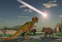 How Cannabis Dispensaries Can Avoid an Extinction Event How-Cannabis-Dispensaries-Can-Avoid-an-Extinction-Event-Michael-Sassano-mg-magazine-mgretailer