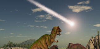 How Cannabis Dispensaries Can Avoid an Extinction Event How-Cannabis-Dispensaries-Can-Avoid-an-Extinction-Event-Michael-Sassano-mg-magazine-mgretailer