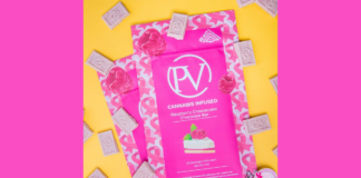 Platinum Vape Raspberry Cheesecake Chocolate Bar Platinum-Vape-Raspberry-Cheesecake-Chocolate-Bar-product-mg-Magazine-mgretailer