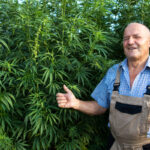 Biodynamic Cultivation Embraces Sustainability and Stewardship Biodynamic-Cultivation-Embraces-Sustainability-and-Stewardship-cannabis-news-mg-magazine-mgretailer