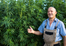 Biodynamic Cultivation Embraces Sustainability and Stewardship Biodynamic-Cultivation-Embraces-Sustainability-and-Stewardship-cannabis-news-mg-magazine-mgretailer