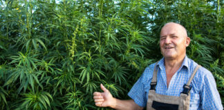 Biodynamic Cultivation Embraces Sustainability and Stewardship Biodynamic-Cultivation-Embraces-Sustainability-and-Stewardship-cannabis-news-mg-magazine-mgretailer