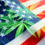 Congress Set to Vote on MORE Act This Week Congress-Set-to-Vote-on-MORE-Act-This-Week-cannabis-news-mg-Magazine-mgretailer