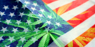 Congress Set to Vote on MORE Act This Week Congress-Set-to-Vote-on-MORE-Act-This-Week-cannabis-news-mg-Magazine-mgretailer