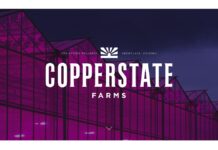 Copperstate Farms to Acquire Level Up Cannabis Licenses in Arizona Copperstate-Farms-logo-mg-magazine-mgretailer