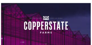 Copperstate Farms to Acquire Level Up Cannabis Licenses in Arizona Copperstate-Farms-logo-mg-magazine-mgretailer