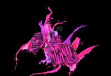 Eyce ProTeck Glass Series Debuts Eyce ProTeck cannabis product family Greenlane-mg-Magazine