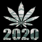 No President Yet, but Cannabis Is a Big Winner in 2020 U.S. Election No-President-Yet-but-Cannabis-Is-a-Big-Winner-in-2020-U.S.-Election-cannabis-news-mg-Magazine-mgretailer