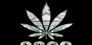 No President Yet, but Cannabis Is a Big Winner in 2020 U.S. Election No-President-Yet-but-Cannabis-Is-a-Big-Winner-in-2020-U.S.-Election-cannabis-news-mg-Magazine-mgretailer