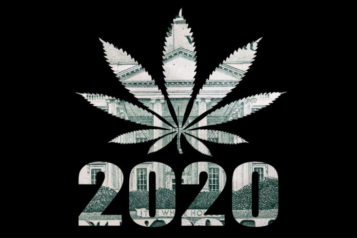 No-President-Yet-but-Cannabis-Is-a-Big-Winner-in-2020-U.S.-Election-cannabis-news-mg-Magazine-mgretailer