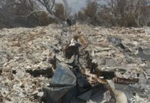 U.S. Wildfires 2020 – Lisa Lai Thought the Glass Fire Wouldn’t Reach Her Farm U.S.-Wildfires-2020-Lisa-Lai-Thought-the-Glass-Fire-Wouldnt-Reach-Her-Farm-All-Cali-Farms-mg-Magazine-mgretailer