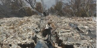 U.S. Wildfires 2020 – Lisa Lai Thought the Glass Fire Wouldn’t Reach Her Farm U.S.-Wildfires-2020-Lisa-Lai-Thought-the-Glass-Fire-Wouldnt-Reach-Her-Farm-All-Cali-Farms-mg-Magazine-mgretailer