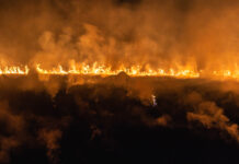 2020 Underscores Cannabis’s Need for Reliable, Industry-Specific Insurance XInsurance cannabis insurance mg Magazine Shutterstock myartoym