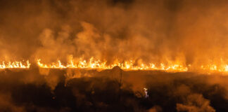 2020 Underscores Cannabis’s Need for Reliable, Industry-Specific Insurance XInsurance cannabis insurance mg Magazine Shutterstock myartoym