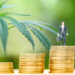 Cannabis Career Watch | New Hires and Promotions December 18, 2020 Cannabis-Career-watch-December-18-2020-mg-Magazine-cannabis-news-mgretailer