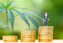 Cannabis Career Watch | New Hires and Promotions December 18, 2020 Cannabis-Career-watch-December-18-2020-mg-Magazine-cannabis-news-mgretailer