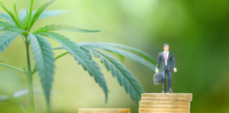 Cannabis Career Watch | New Hires and Promotions December 18, 2020 Cannabis-Career-watch-December-18-2020-mg-Magazine-cannabis-news-mgretailer