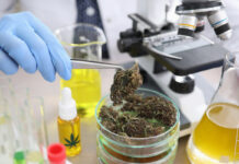 House Approves Bipartisan Bill to Allow Clinical Cannabis Research House-Approves-Bipartisan-Bill-to-Allow-Clinical-Cannabis-Research-cannabis-news-mg-magazine-mgretailer