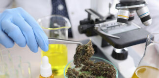 Increasing Study Data Indicates Medical Cannabis Can Reduce Opioid Use, Deaths House-Approves-Bipartisan-Bill-to-Allow-Clinical-Cannabis-Research-cannabis-news-mg-magazine-mgretailer