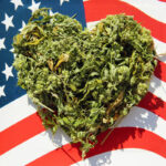 Historic Vote: U.S. House Overturns Cannabis Prohibition MORE-Act-Historic-Vote-U.S.-House-Overturns-Cannabis-Prohibition-cannabis-news-mg-Magazine-mgretailer