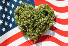 Historic Vote: U.S. House Overturns Cannabis Prohibition MORE-Act-Historic-Vote-U.S.-House-Overturns-Cannabis-Prohibition-cannabis-news-mg-Magazine-mgretailer