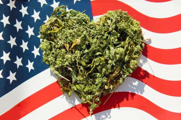 MORE-Act-Historic-Vote-U.S.-House-Overturns-Cannabis-Prohibition-cannabis-news-mg-Magazine-mgretailer