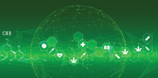 New Cannabis Data Highlights the Industry’s Great Year and Bright Future New-Cannabis-Data-Highlights-the-Industrys-Great-Year-and-Bright-Future-cannabis-news-mg-magazine-mgretailer